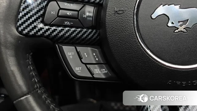 Ford Mustang id 3737173 из Кореи 9