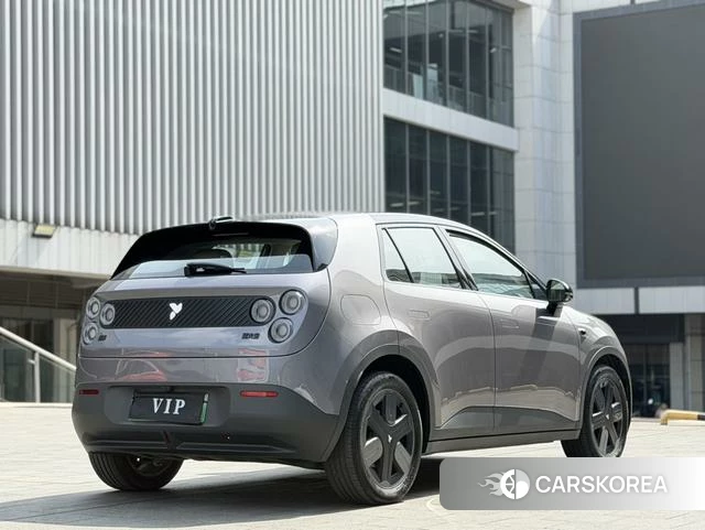 firefly firefly Unknown id 4198869 из Китая 9