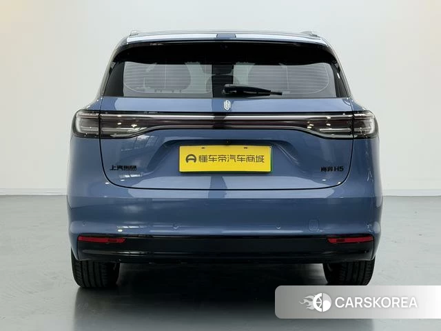 Shangjie H5 id 4211038 из Китая 9