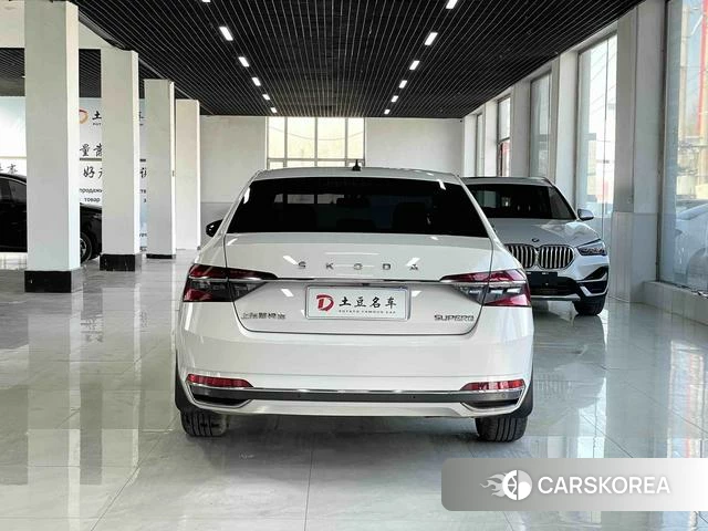 Skoda Speed pie id 4380579 из Китая 9