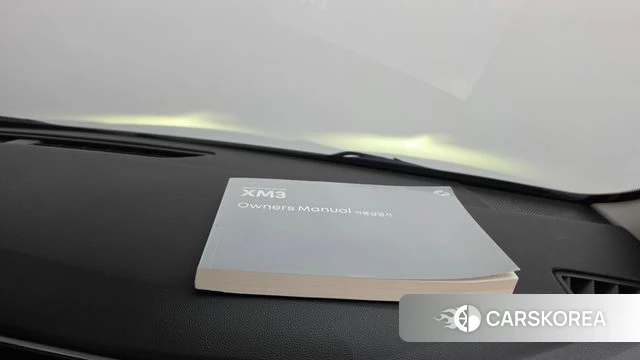 Renault Korea (Samsung) XM3 id 4854664 из Кореи 9