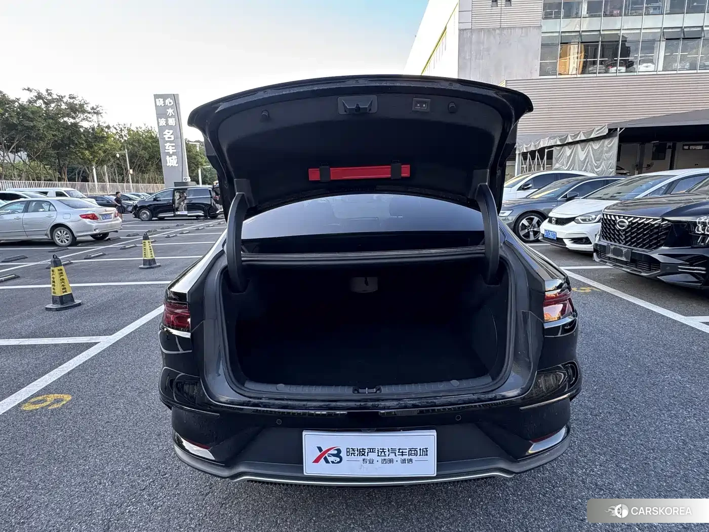BYD Han id 4576896 из Китая 9