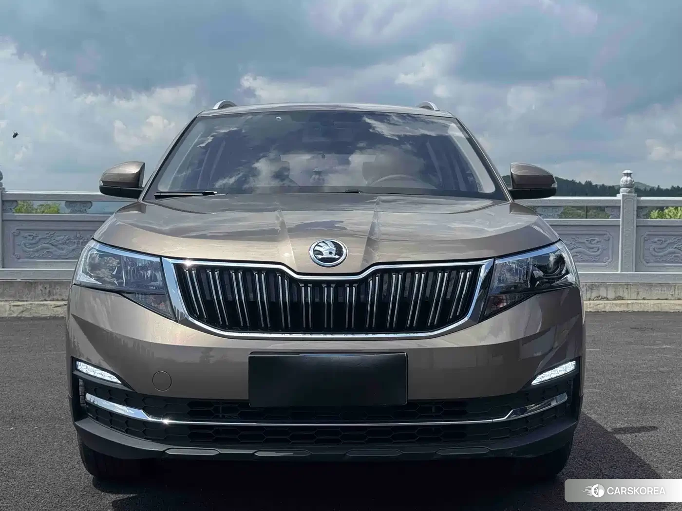 Skoda Kamiq id 4622286 из Китая 9