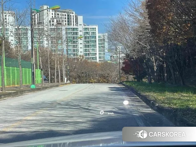 Genesis G80 (RG3) id 3349497 из Кореи 9