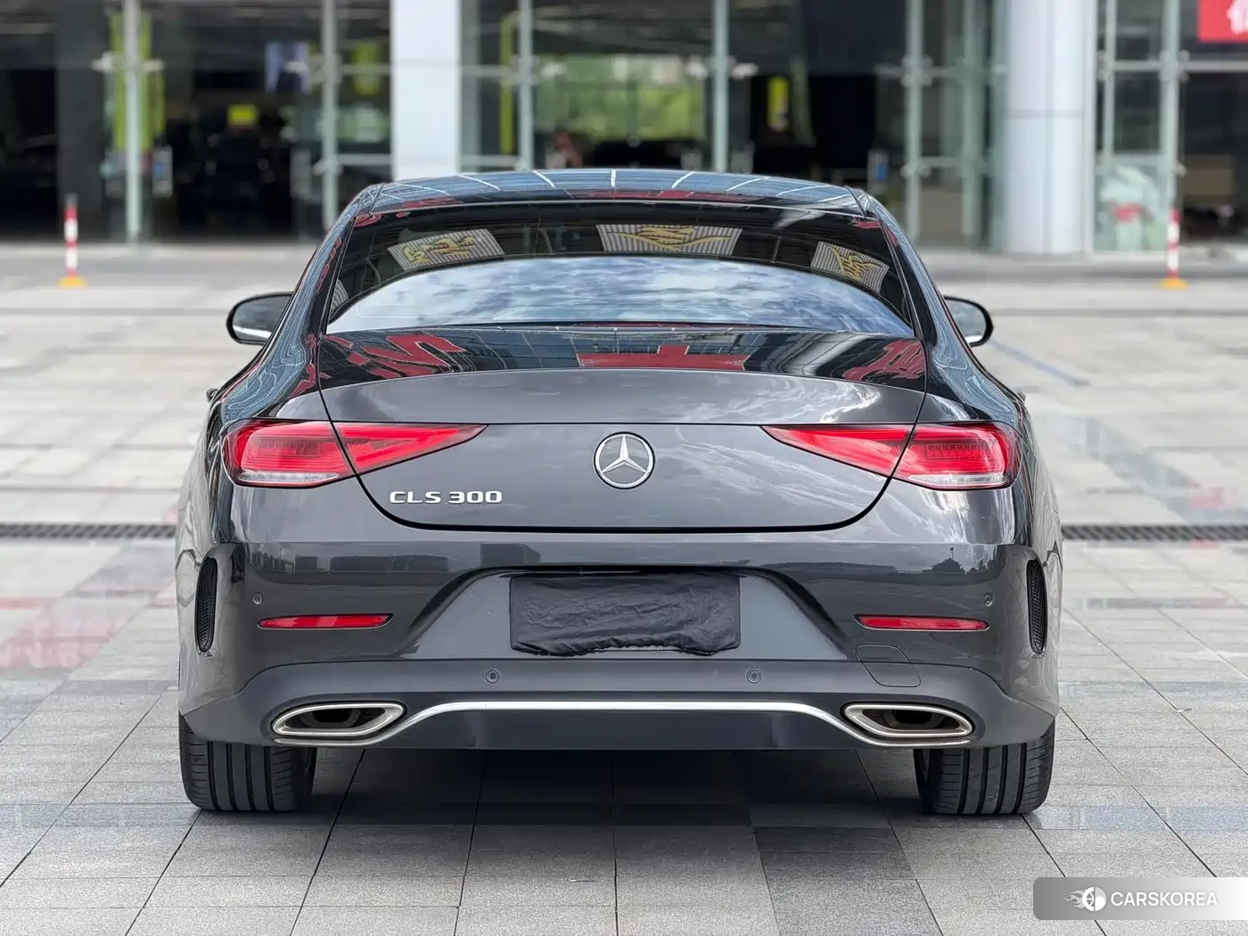 Mercedes-Benz CLS id 4545931 из Китая 9