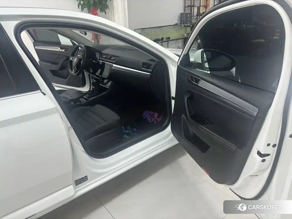 Skoda Speed pie id 4553923 из Китая 9