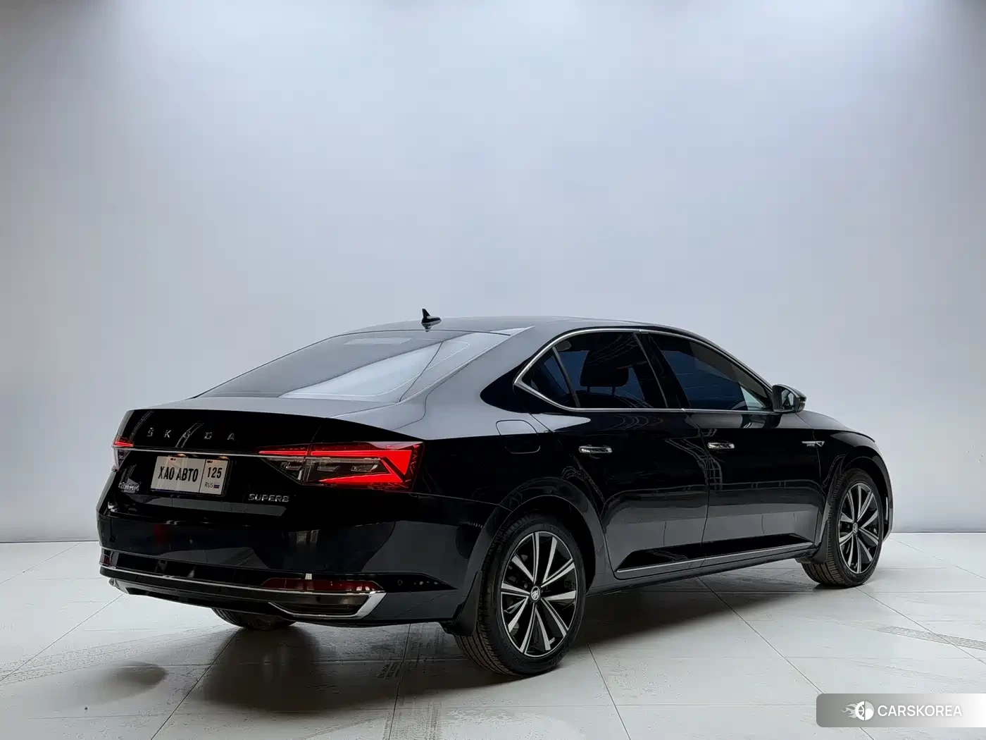 Skoda Speed pie id 4538780 из Китая 9