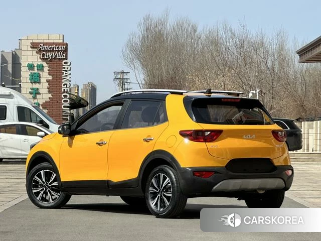 Kia Yi Ran id 4208908 из Китая 9