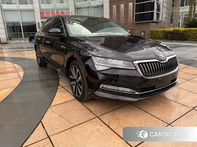 Skoda Speed pie id 4374487 из Китая 9