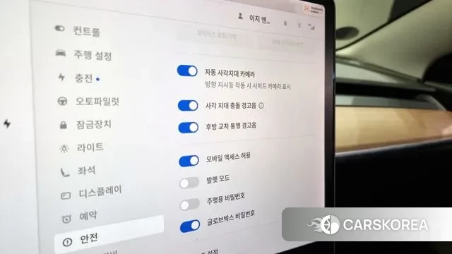 Tesla Model 3 id 3356507 из Кореи 9