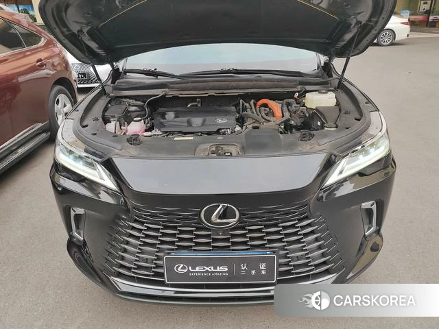 Lexus RX id 4314073 из Китая 9