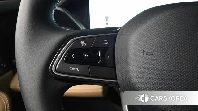 Renault Korea (Samsung) Grand Coleos id 4413792 из Кореи 9