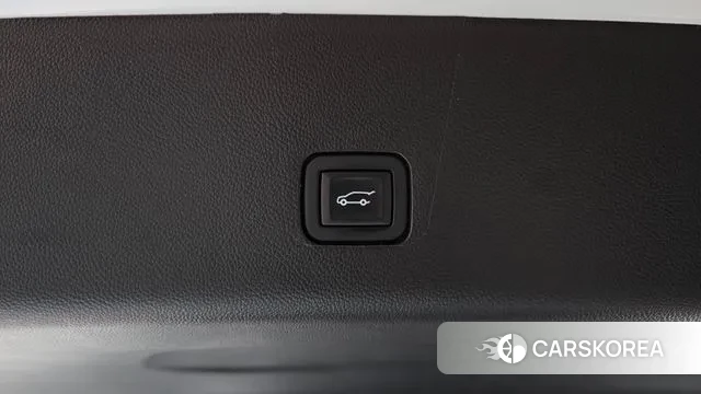 Chevrolet (GM Daewoo) Traverse id 3752688 из Кореи 9