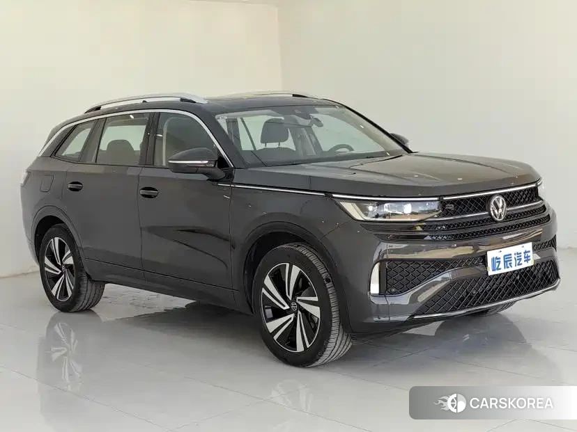 Volkswagen Range patrol id 4629038 из Китая 9