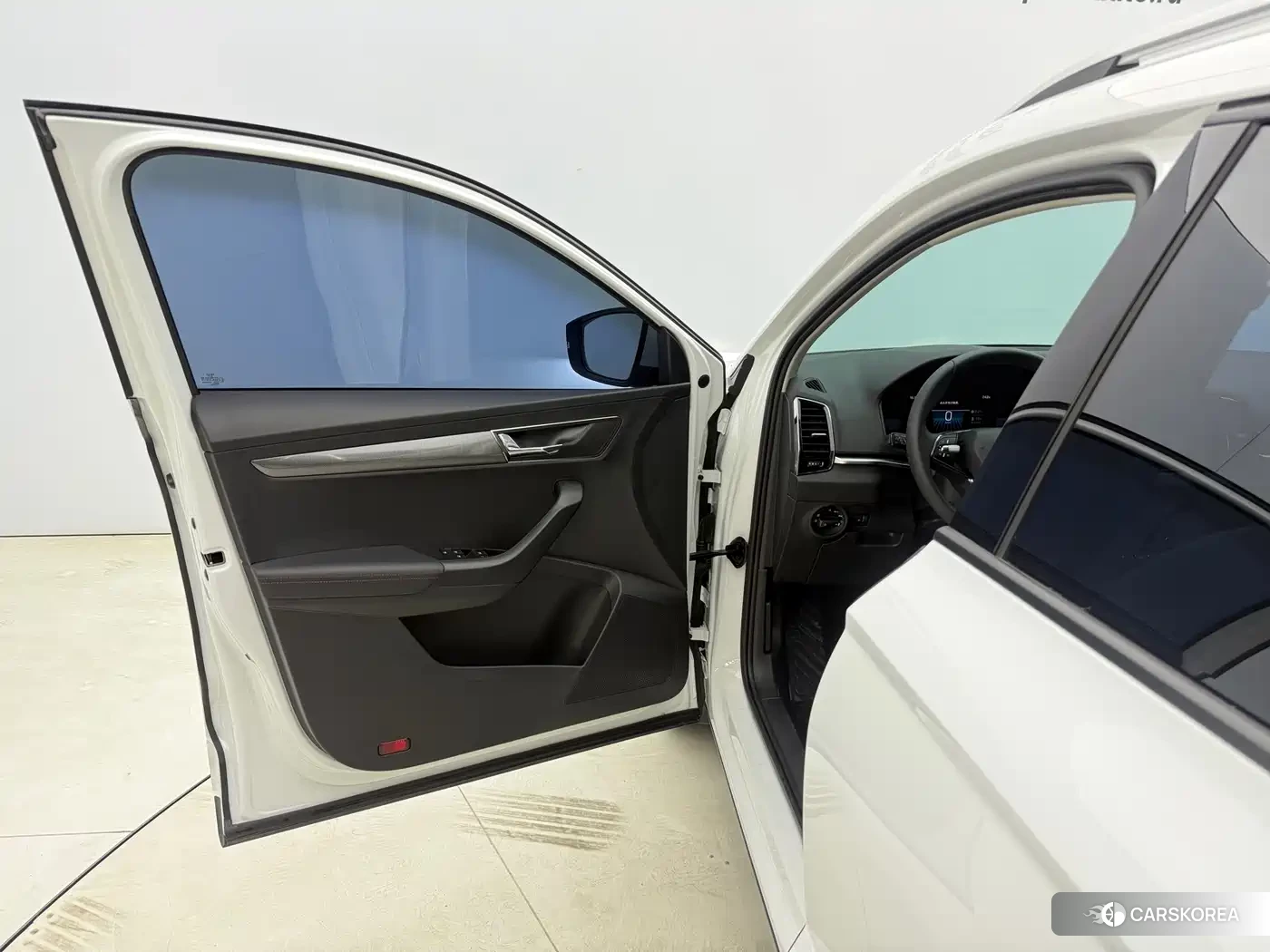 Skoda Krok id 4565093 из Китая 9
