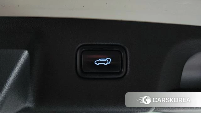 Hyundai Palisade id 4518900 из Кореи 9