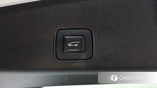 Chevrolet (GM Daewoo) Trailblazer id 3778066 из Кореи 9