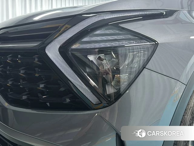 Kia Lion Platinum expands the world id 4277449 из Китая 9