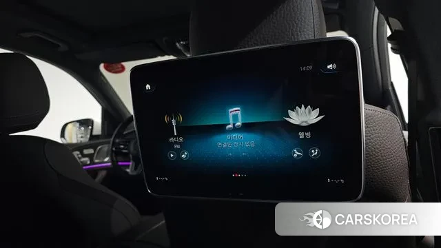 Mercedes-Benz GLS - Class X167 id 3701342 из Кореи 9