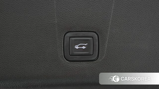 Chevrolet (GM Daewoo) Traverse id 4389811 из Кореи 9