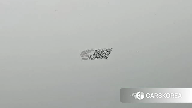 Kia K5 Hybrid 3rd Generation id 4535061 из Кореи 9