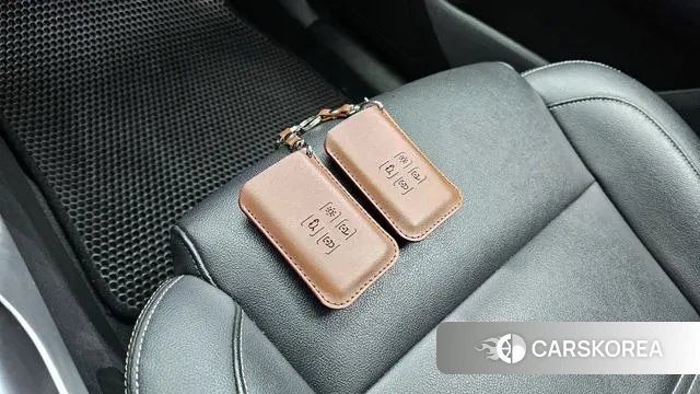 Renault Korea (Samsung) The New QM6 id 3625000 из Кореи 9