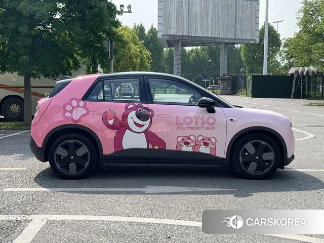 firefly firefly Unknown id 3993377 из Китая 9