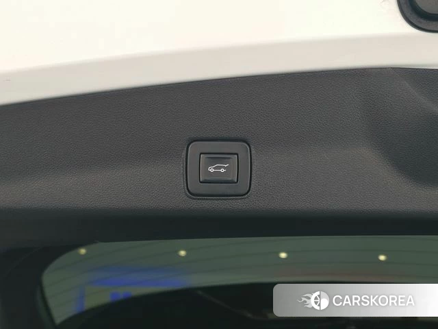 Chevrolet (GM Daewoo) Trailblazer id 4519044 из Кореи 9