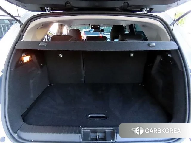 Renault Korea (Samsung) Capture id 3499211 из Кореи 9