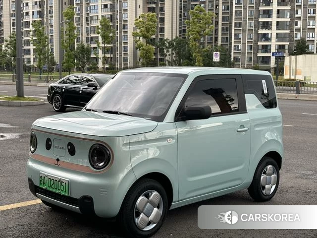 Geely Galaxy panda id 4254859 из Китая 9