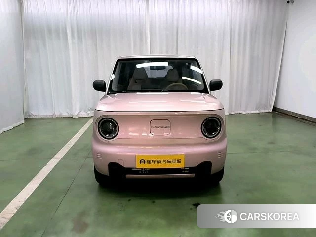 Geely Galaxy panda id 4211457 из Китая 9