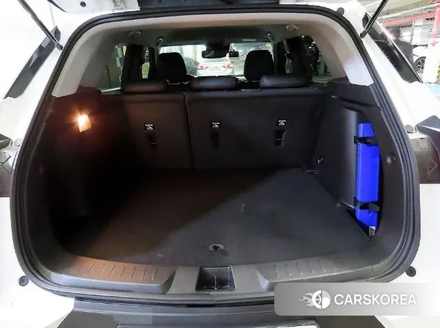 Chevrolet (GM Daewoo) Trailblazer id 3669101 из Кореи 9