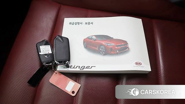 Kia Stinger id 4377327 из Кореи 9