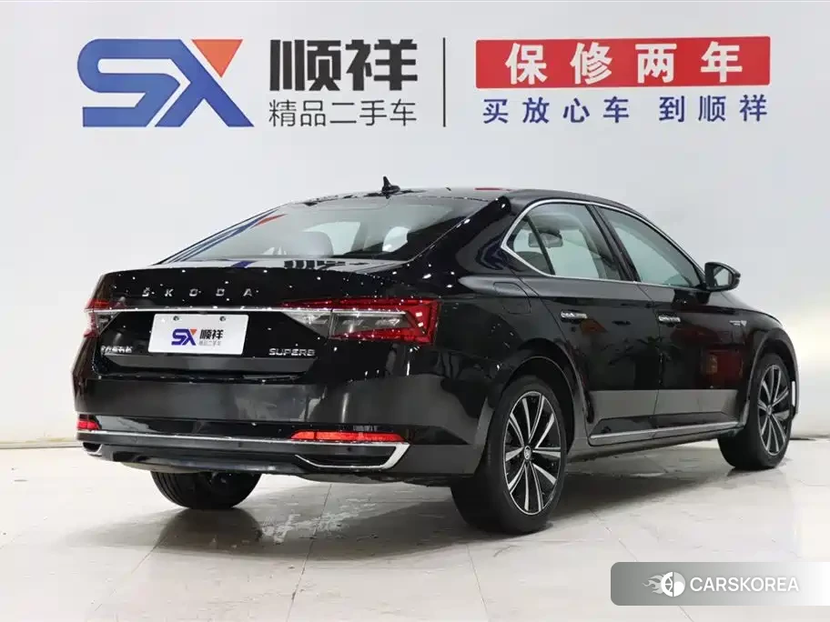 Skoda Speed pie id 4515532 из Китая 9