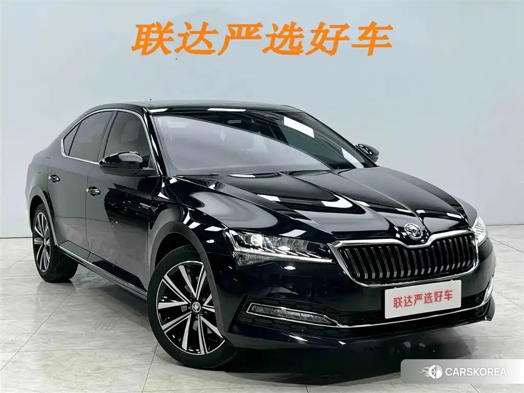 Skoda Speed pie id 4538728 из Китая 9