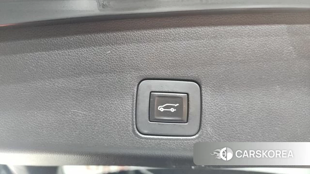 Chevrolet (GM Daewoo) Trailblazer id 3916575 из Кореи 9