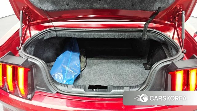 Ford Mustang id 3893914 из Кореи 9