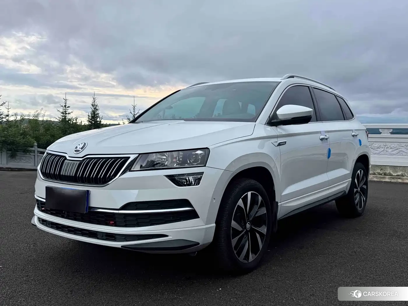 Skoda Karoq id 4634754 из Китая 9