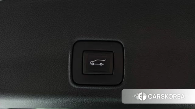 Chevrolet (GM Daewoo) Trailblazer id 4906687 из Кореи 9