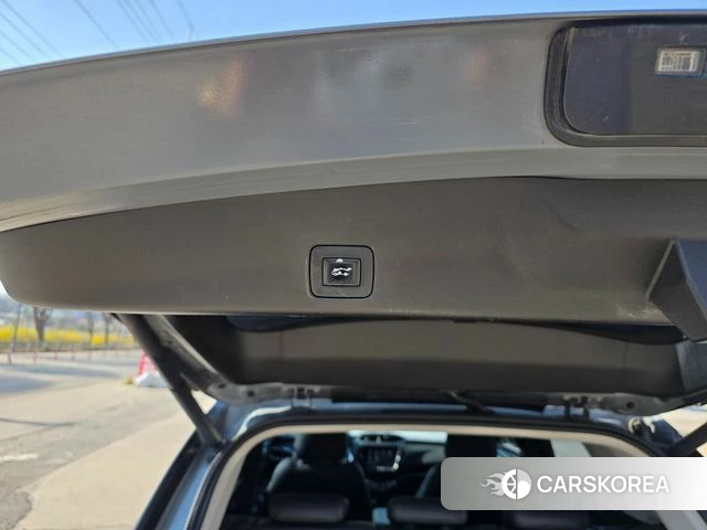 Chevrolet (GM Daewoo) Trailblazer id 3911005 из Кореи 9