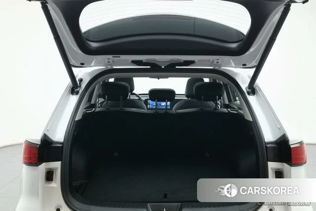 Haval Xiaolong MAX id 4210175 из Китая 9