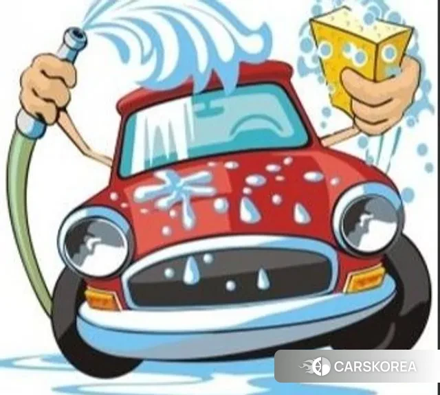 Renault Korea (Samsung) XM3 id 3427054 из Кореи 9