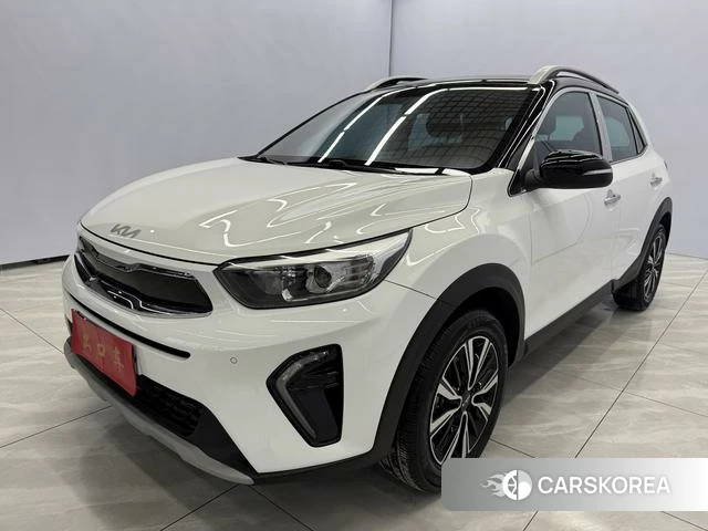 Kia Yi Ran id 4333840 из Китая 9