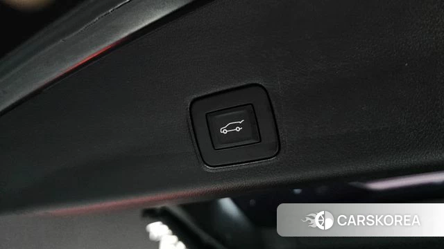 Chevrolet (GM Daewoo) Trailblazer id 4495235 из Кореи 9