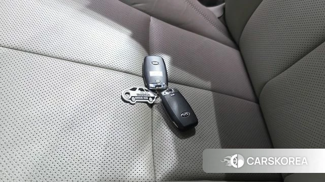 Kia The New Carnival id 4632910 из Кореи 9