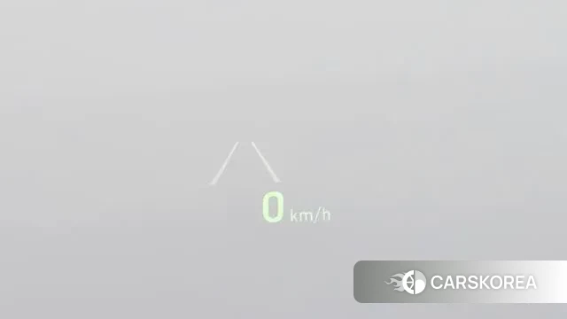 Genesis G80 id 3220734 из Кореи 9