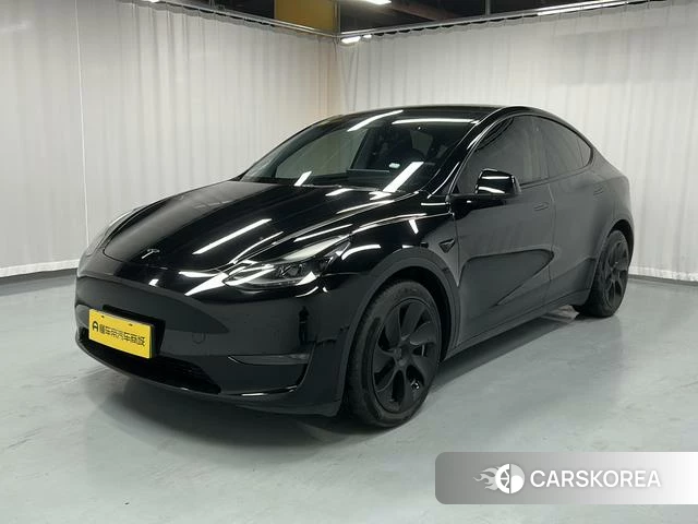 Tesla Model Y id 4253827 из Китая 9