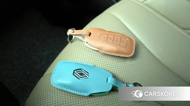 Renault Korea (Samsung) Grand Coleos id 4194061 из Кореи 9