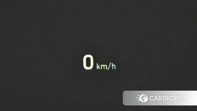 Genesis G80 id 4520726 из Кореи 9