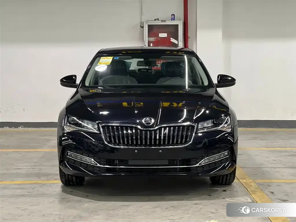 Skoda Speed pie id 4538732 из Китая 9